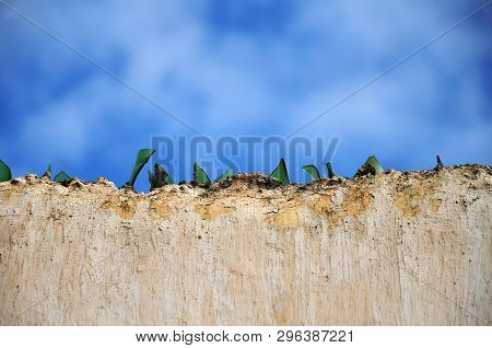 Burglar Repellent Installation With Broken Glass Bricked On Top Of A Wall In Front Of Blue Cloudy Sk