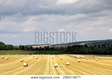 Summer Rural Landscape With Harvesting Field, Brught Yellow Hayrolls, Blue Sky, Dark Green Trees At 