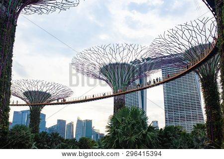 SINGAPORE, SINGAPORE - MARCH 2019: Supertree Grove & OCBC Skyway at Garden by the Bay