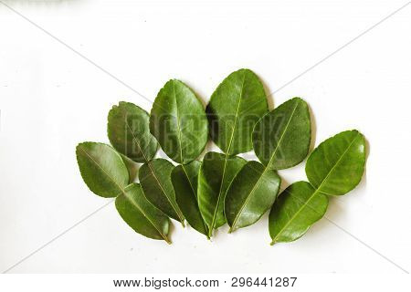 Green Dark Kaffir Lime Leaves Group On White Isolated Backgroup