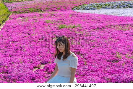 Saitama, Japan - Apr 21, 2018: View Of Pink Moss (shibazakura, Phlox Subulata) Flower At Hitsujiyama