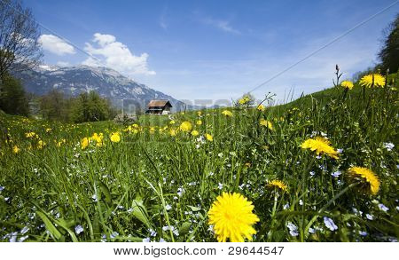 Paesaggio di primavera in montagna, Alpi