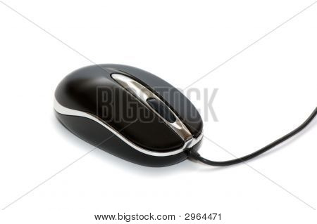 The Computer Mouse