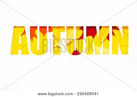 Letter Autumn Cut From Paper With Paper Autumn Leaves