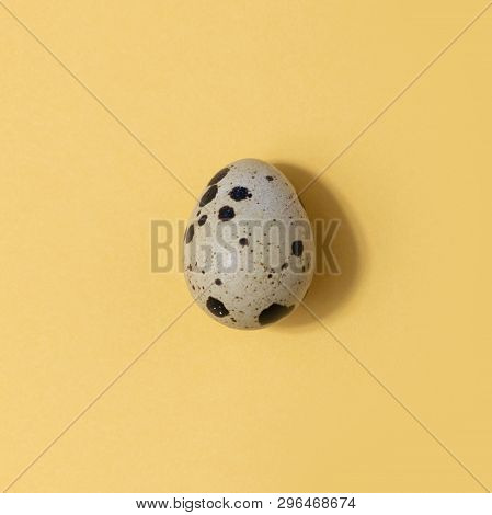 Easter Eggs Minimal Concept. Egg Background Concept