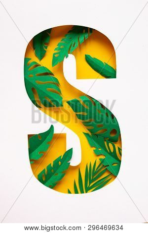 Letter S Cut From Paper With Tropical Palm Leaves From Paper