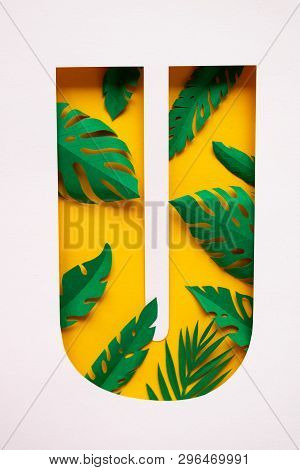 Letter U Cut From Paper With Tropical Palm Leaves From Paper