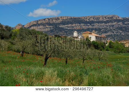 Spring; Masia And Olive Trees With The Montserrat Mountains In The Background