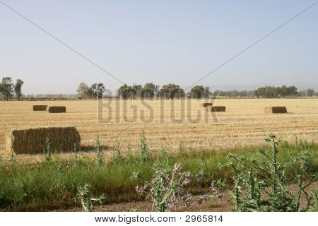 Haystacks