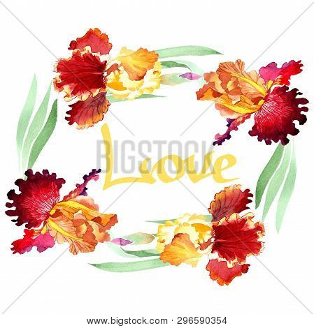 Red Bold Encounter Iris Floral Botanical Flowers. Watercolor Background Illustration Set. Frame Bord