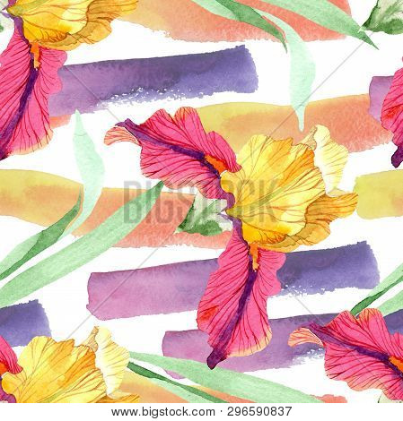 Red Bold Encounter Iris Floral Botanical Flowers. Watercolor Background Illustration Set. Seamless B