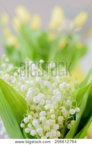 Beautiful Bouquet Of Lily Of The Valley Flowers With Green Leaves Close-up With Blurred Background