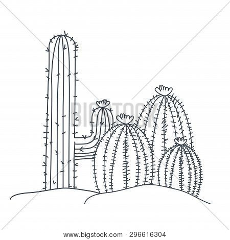 Cactus In Landscape Isolated Icon Vector Illustration Design