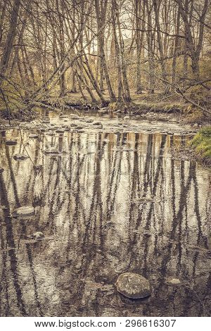 A Stream Flowing Through The Woodlands Of Raus Vang Near To The Church.