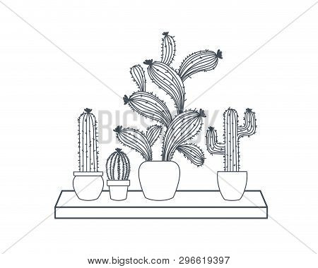 Cactus With  Potted On Shelf Isolated Icon Vector Illustration Design