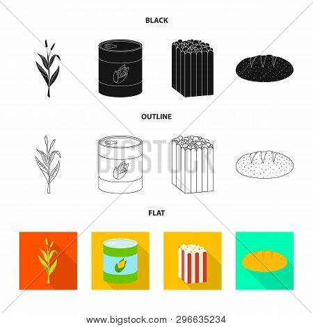Vector Illustration Of Cornfield And Vegetable Logo. Collection Of Cornfield And Vegetarian Stock Ve