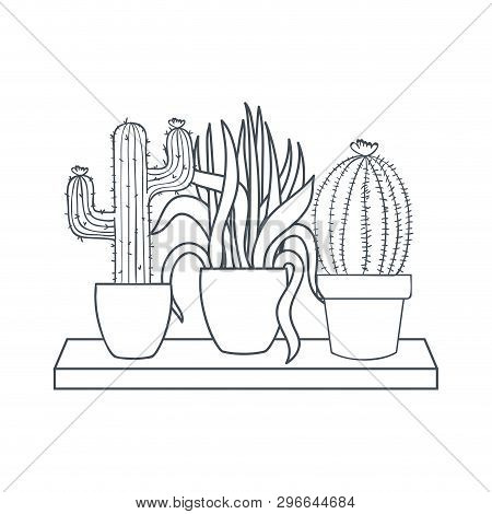 Houseplants With Potted On Shelf Isolated Icon Vector Illustration Design