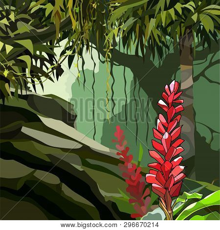 Painted Red Ginger Flowers Among Tropical Plants In The Jungle