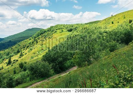 Beautiful Mountain Landscape At Summer Forenoon. Hills With Grassy Meadows Among The Forest. Dirt Ro