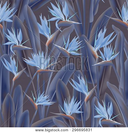Strelitzia Reginae Tropical Flower Vector Seamless Pattern. Bohemian Tropical Plant Fabric Print Des