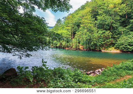Lake Among The Beech Forest. Beautiful Summer Scenery In Vihorlat Mountains, Slovakia. Wonderful Des