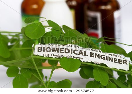 Biomedicinsk ingeniør