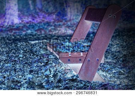 Park Bench In Minimal Landscape. Secluded Place In Forest. Lonely Concept. Selective Focus. Filtered