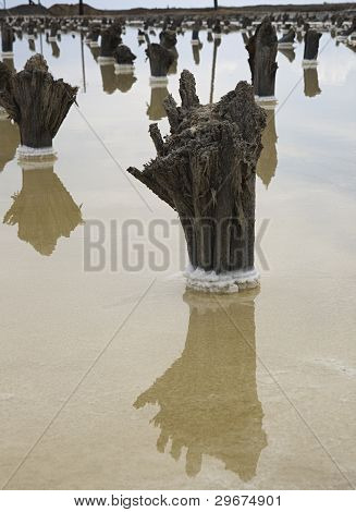 Salt Lake Baskunchak