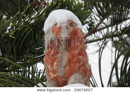 ornamental lion under the snow