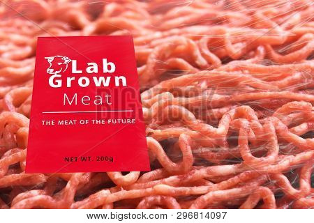 Conceptual Photo Of Artificial Lab Grown Meat, Cultured Meat,