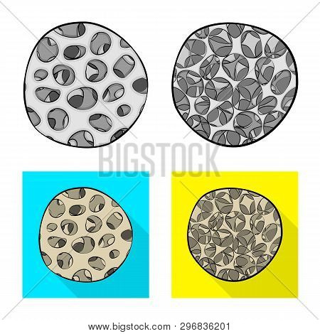 Vector Design Of Medicine And Clinic Icon. Set Of Medicine And Medical Vector Icon For Stock.