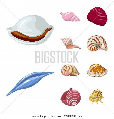Vector Illustration Of Seashell And Mollusk Symbol. Set Of Seashell And Seafood  Stock Vector Illust