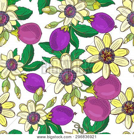 Passionflower Passiflora, Passion Purple Fruit Floral Seamless
