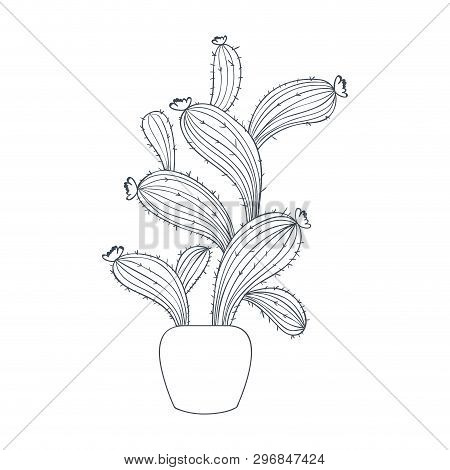 Cactus With Potted Isolated Icon Vector Illustration Design