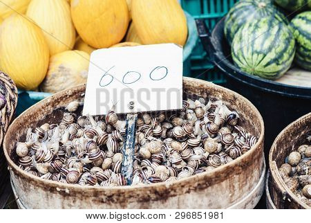 Raw Snails Alive For Sale In The Fish Market Pescheria Of Catania, Sicily, Italy