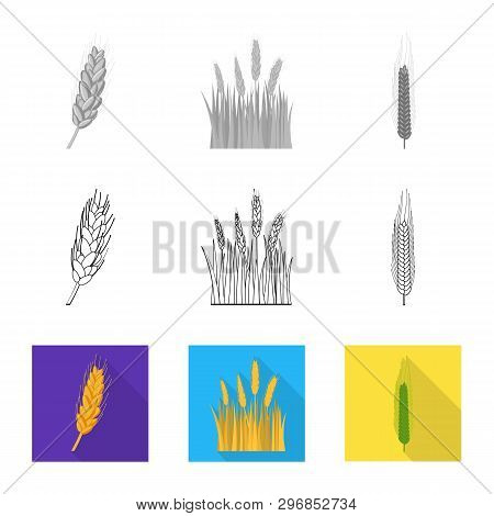 Vector Design Of Agriculture And Farming Icon. Set Of Agriculture And Plant  Vector Icon For Stock.
