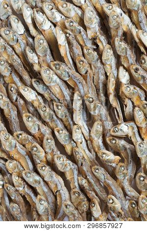 Plenty Of Small Dried Fish From Sea That Are Arranged In Group,top View Of Small Dried Fish Pattern,