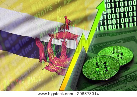 Brunei Darussalam Flag And Cryptocurrency Growing Trend With Two Bitcoins On Dollar Bills And Binary