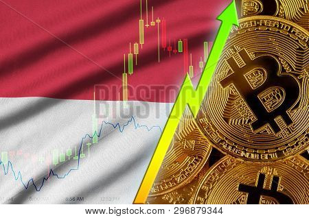 Indonesia Flag And Cryptocurrency Growing Trend With Many Golden Bitcoins