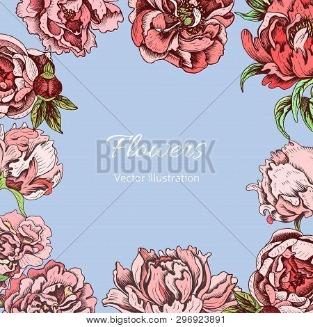 Vector Illustration Sketch - Card With Flowers Chrysanthemum, Peony. Wedding Invitation With Flower.