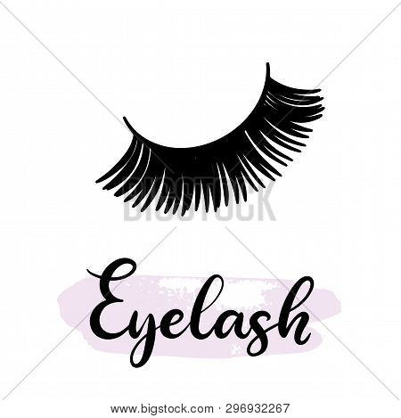 Lashes Lettering Vector Illustration For Beauty Salon, Fashion Blog, Logo, False Eyelashes Extension