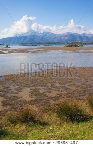 Wetland Landscape. Montenegro, View Of  Tivat Salina  ( Tivatska Solila ) - Special Botanical And An
