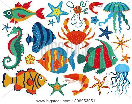 Coral Reef Fauna With Tropical Fishes, Starfishes, Jellyfishes, Shrimps, Crab And Seahorse. Sea Star