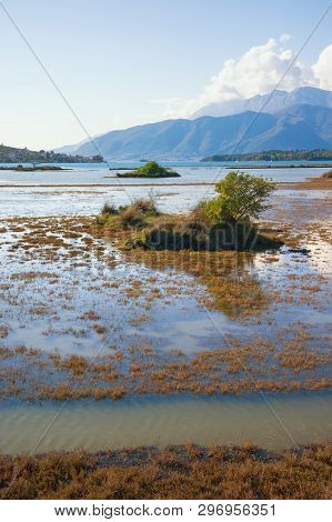 Wetland Landscape. Montenegro. View Of Tivat Salina  ( Tivatska Solila ) - Special Botanical And Ani