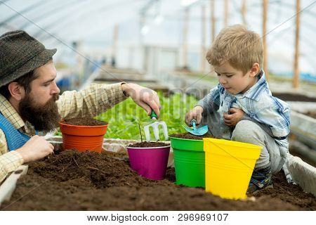 Potting Flowers. Father And Son Potting Flowers. Potting Flowers With Child And Its Father. Father A