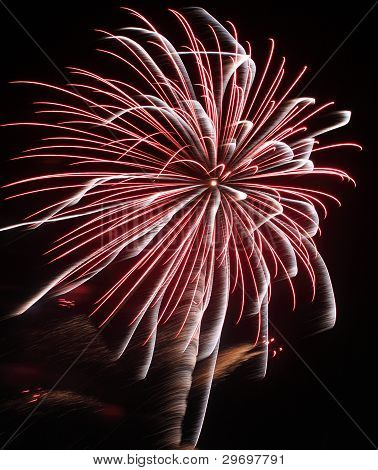 Fireworks In The Night