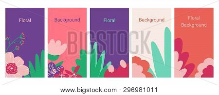 Social Media Stories Banners Set, Story, Floral Templates For Cover, Flyer, Brochure, Vector Bright