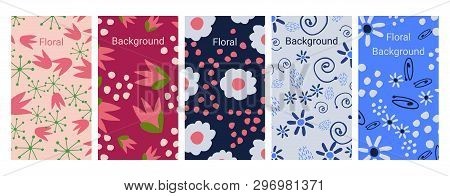 Social Media Stories Banners Set, Story, Floral Templates For Cover, Flyer, Brochure, Vector Bright