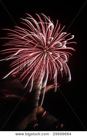 Fireworks In The Night