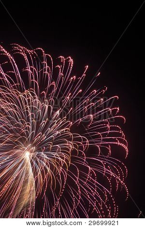 Fireworks In The Night